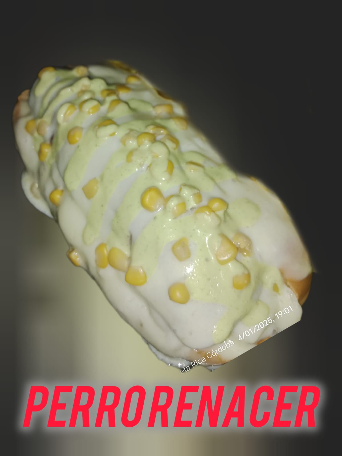 Perro Renacer